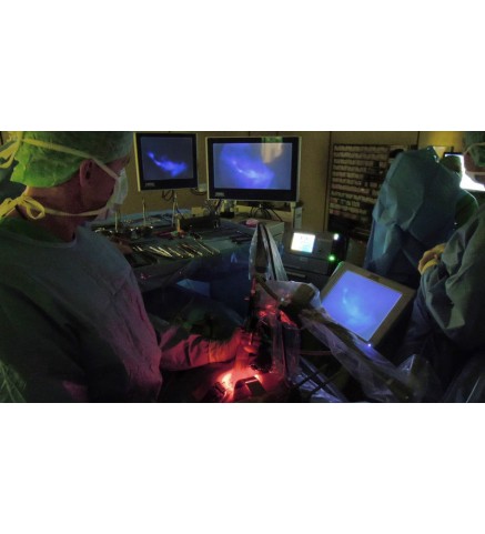 Флуоресцентная визуализация в открытой хирургии VITOM® ICG