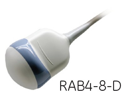 RAB2-6-RS
